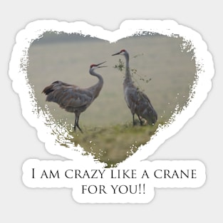 I Am Crazy Like a Crane For You!! Sticker